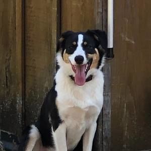 Meet your Posher, Leanne